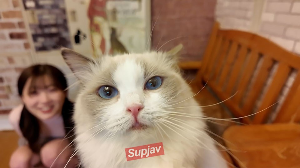 FC2PPV 4511406 1490pt Until The 9th!!! *Too Cute, Super Rare – She’s Crazy About The Cats On A Cat Cafe Date 